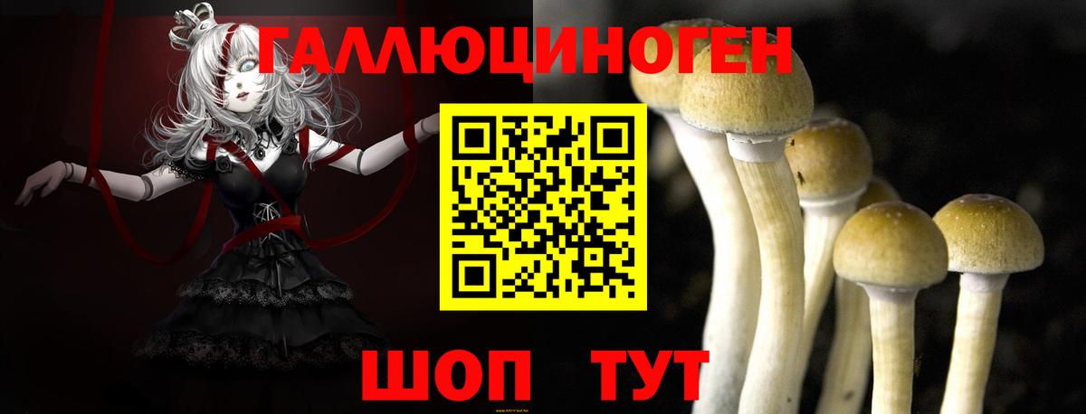 Псилоцибиновые грибы GOLDEN TEACHER  Галлюциногенные грибы мицелий  Ишим  дарнет шоп  Вход с VPN 